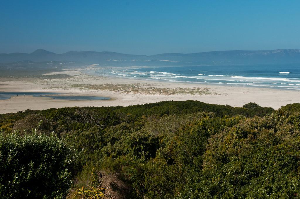 Mosselberg On Grotto Beach Hermanus Exterior photo